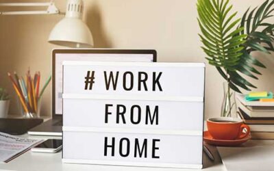 High Paying Work from Home Professions