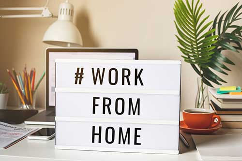 High Paying Work from Home Professions